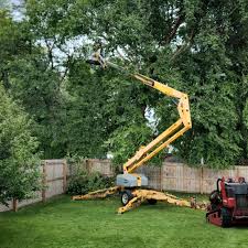 Leaf Removal in Elmer, NJ